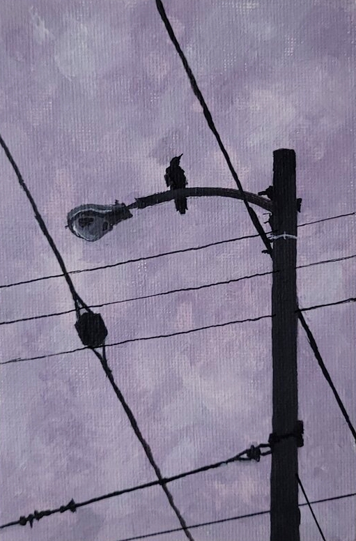 The Crow